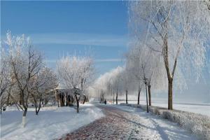 冬季綿綿細雨，寒冷季節彩鋼瓦翻新施工技巧