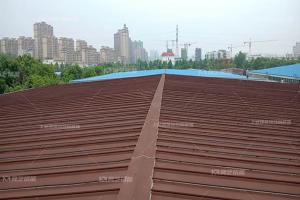 彩鋼瓦銹蝕主要分三類，針對不同銹蝕使用不同翻新漆