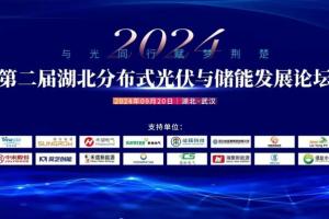 莫藝應邀參加第二屆湖北分布式光伏與儲能發展論壇