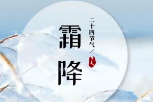 工商業(yè)分布式光伏屋面翻新修繕正當(dāng)時